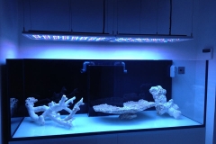 Aquarium Connections custom build aquarium 3