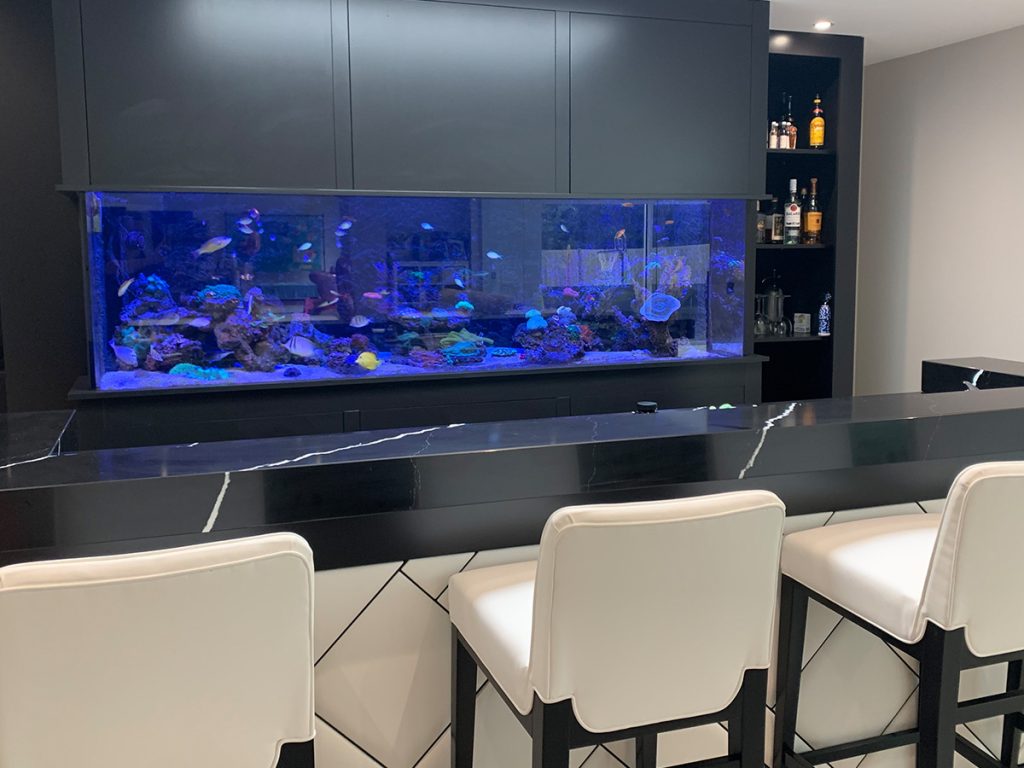 Custom Aquarium that is built into a clients bar in his home. Bespokely built by aquarium connections.