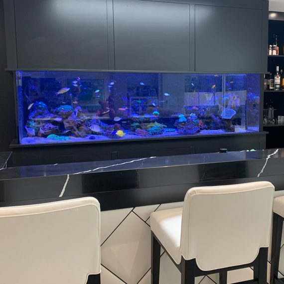 Custom Aquarium that is built into a clients bar in his home. Bespokely built by aquarium connections.