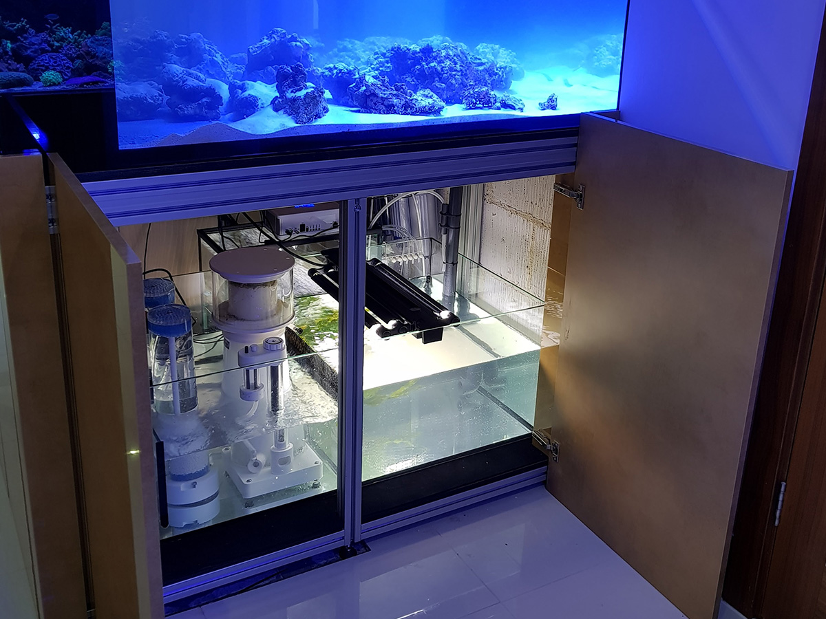 Aquarium maintenance - Aquarium Connections