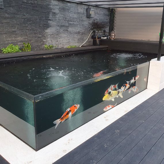 pond4