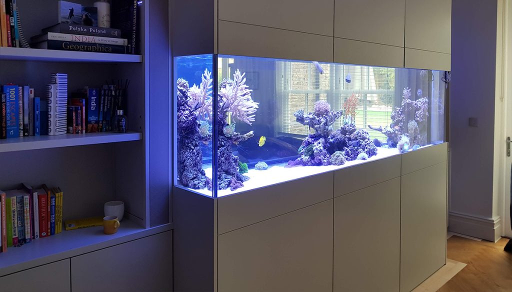 Large custom aquarium, built in a wall inbetween two rooms.