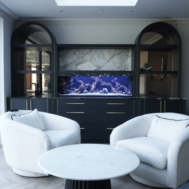 Freshwater Custom Aquariums Built Into a media wall