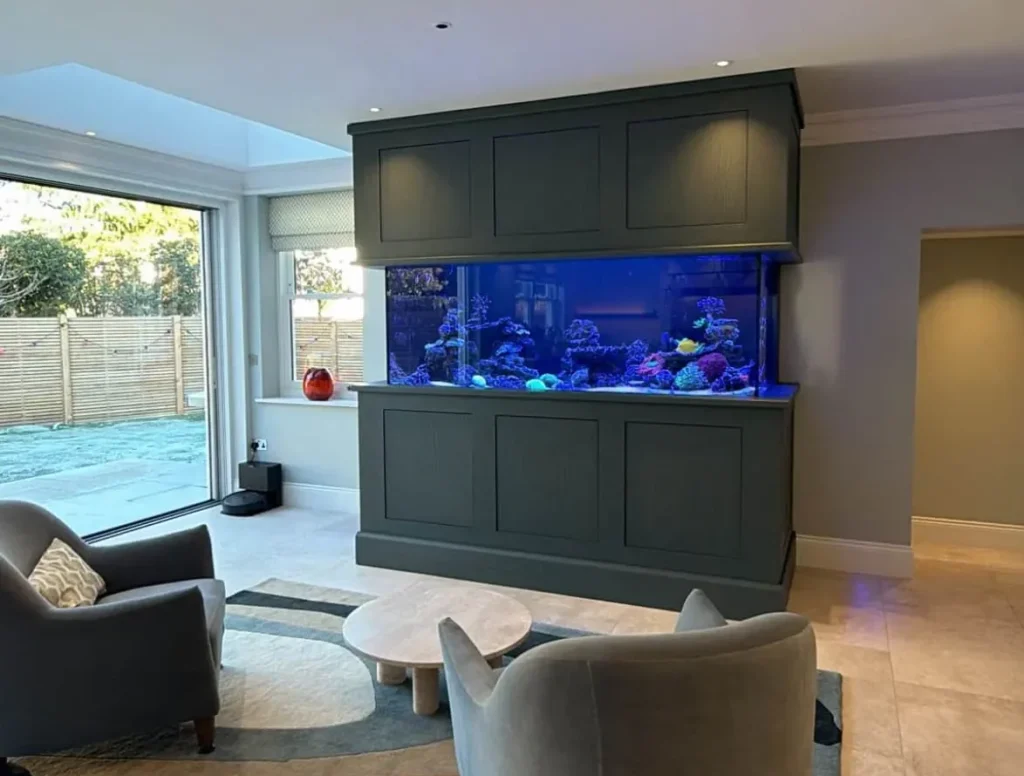 bespoke aquarium build in Surrey