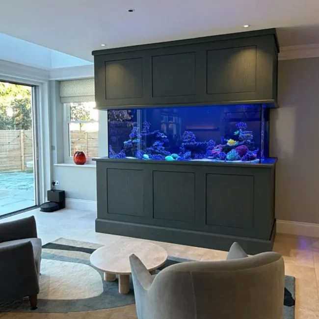 bespoke aquarium build in Surrey