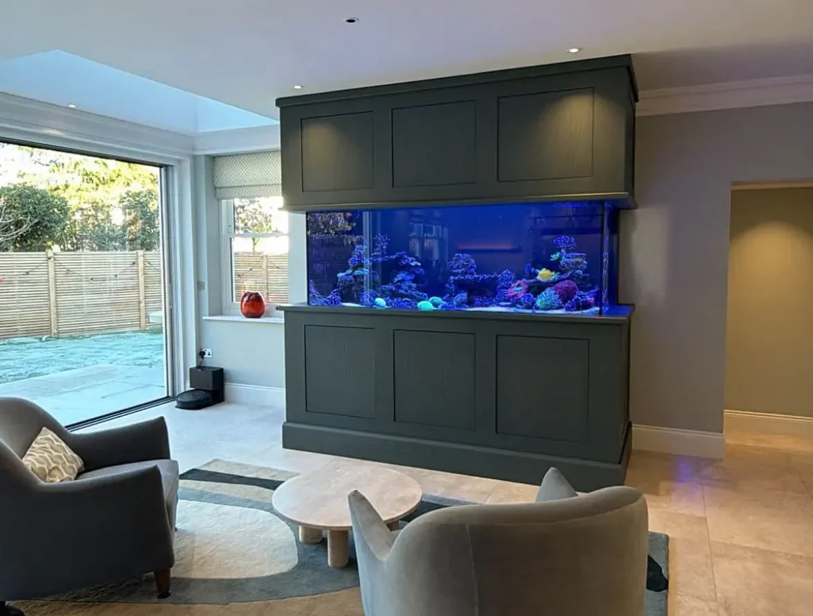 bespoke aquarium build in Surrey