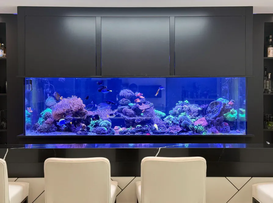 Bespoke aquarium in a private home